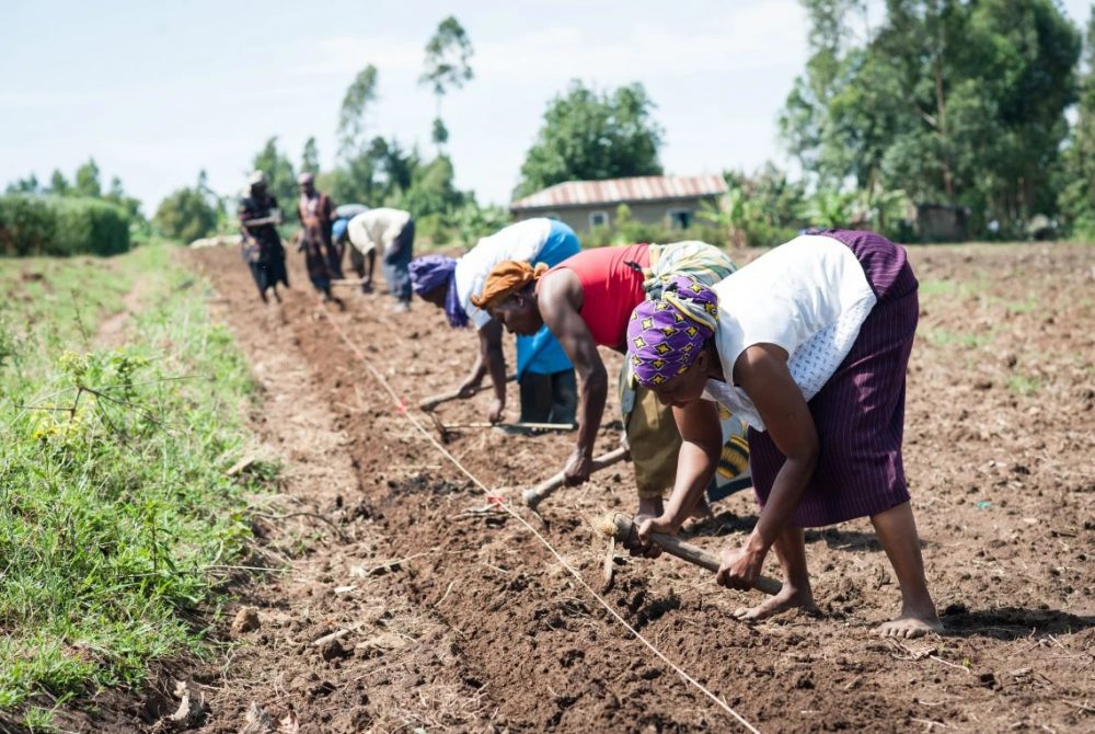 Anne_Malemba_One_Acre_Fund.original